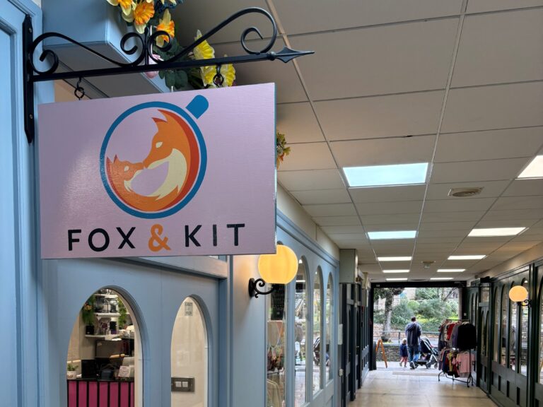 Fox & Kit 1